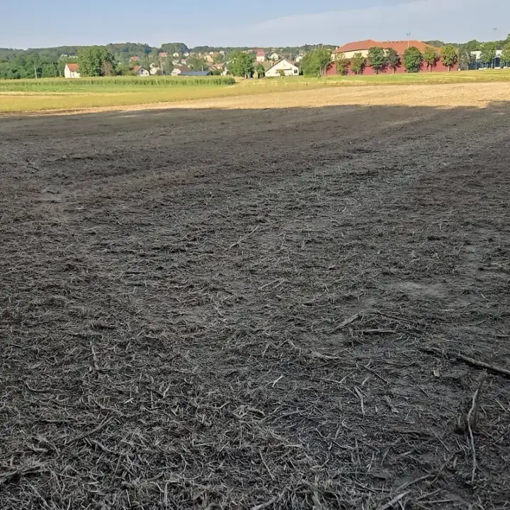 Teren pripremljen za sadnju